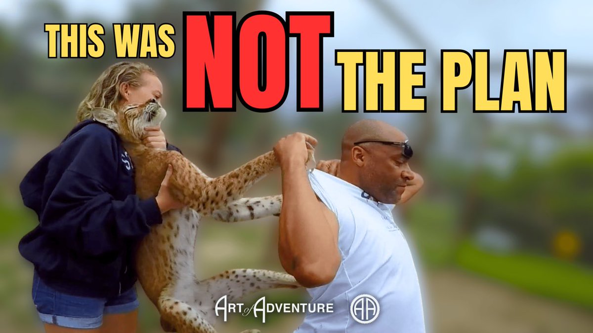 Pascale Head tweet media