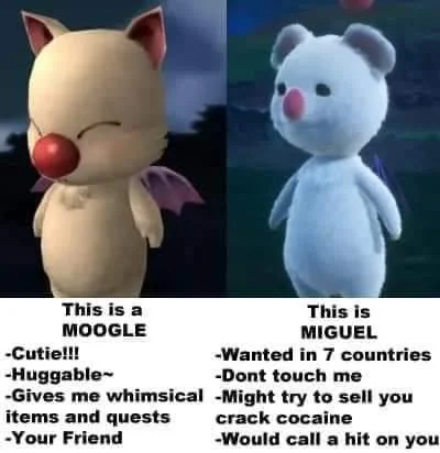 cryosphered_'s tweet photo. @AerithClouds and i just remembered this meme from around launch https://t.co/aYsGGeR942
