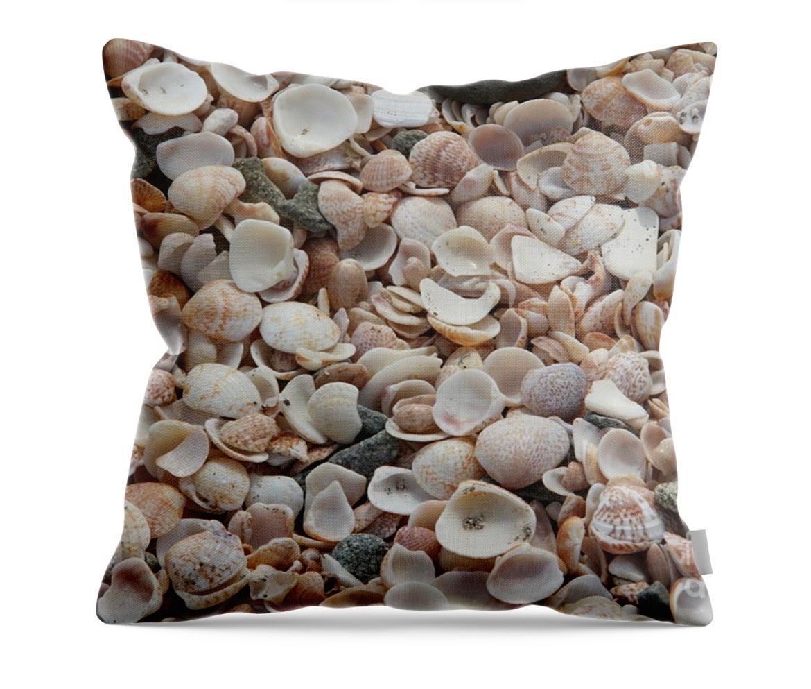 erinmdorffette's tweet photo. #ShellBeach is one of the most unique and fun #beaches to enjoy! Take a #vacation through #art with this #beach and buy yourself a #gift

#ocean #travel #photography #beachvibes #holiday #Caribbean 

https://t.co/i2Ar7SJrEV https://t.co/M6h5DY7y35