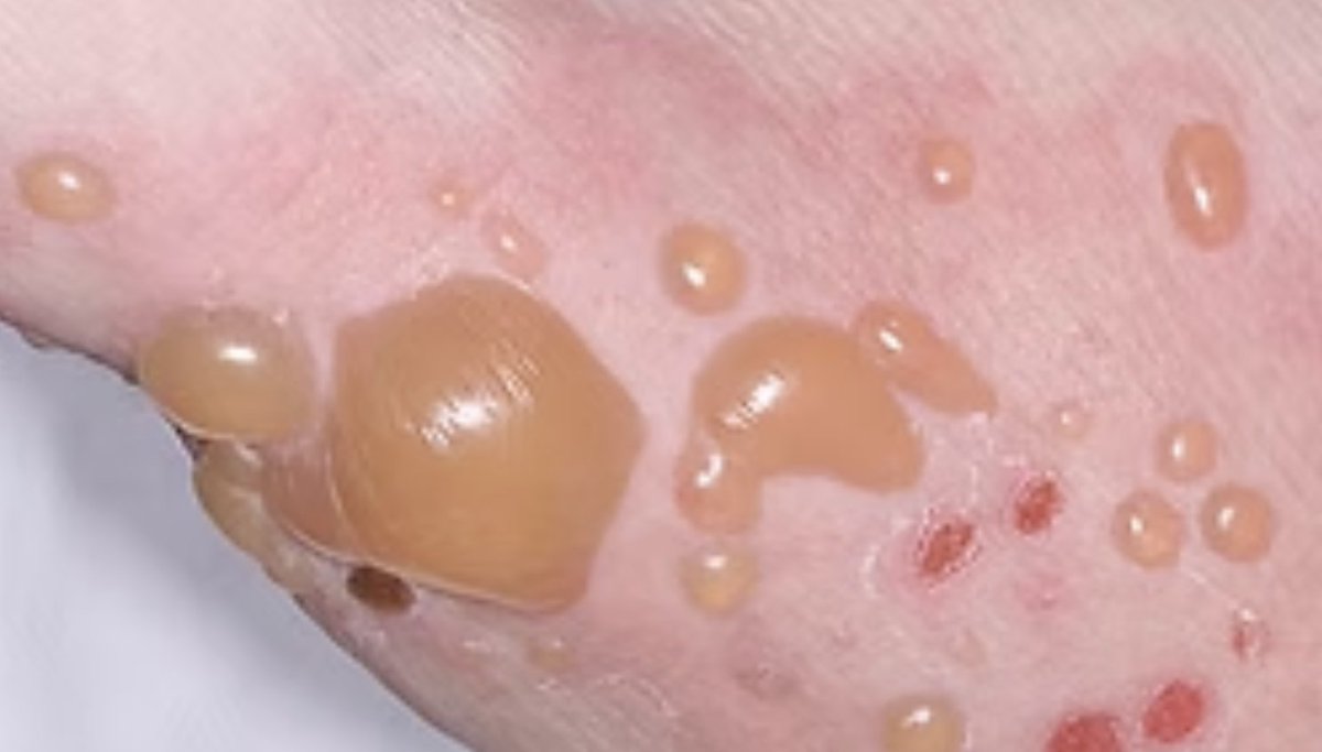 StudyXing Medicine tweet media