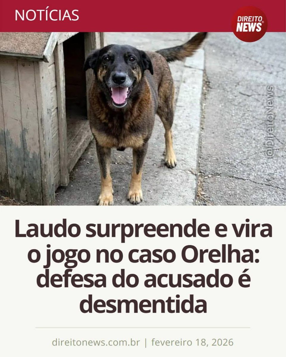 enf_intensiva's tweet photo. Desmentiram a defesa do acusado que insistia em dizer que a morte foi  por atropelamento. 
O laudo necroscopico conformou: Orelha foi A SS A SS I NA D 0

#BRAZILFORORELHA https://t.co/g8vTt1gh1b