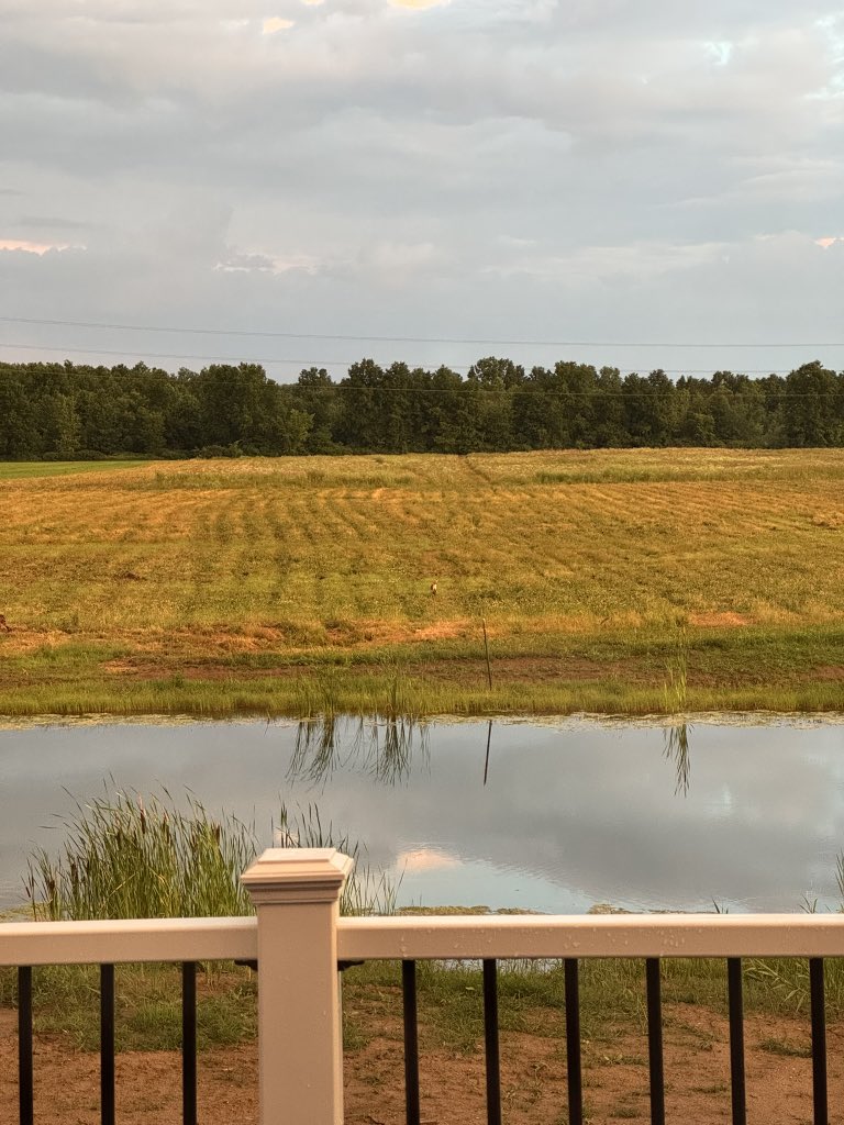 Hahnidelux's tweet photo. @elonmusk if you got any spare change I wanna get a tractor for my 20 acres so I can start living off my land we moved to ♥️😉 #dreams #country living https://t.co/56cHMvEINV
