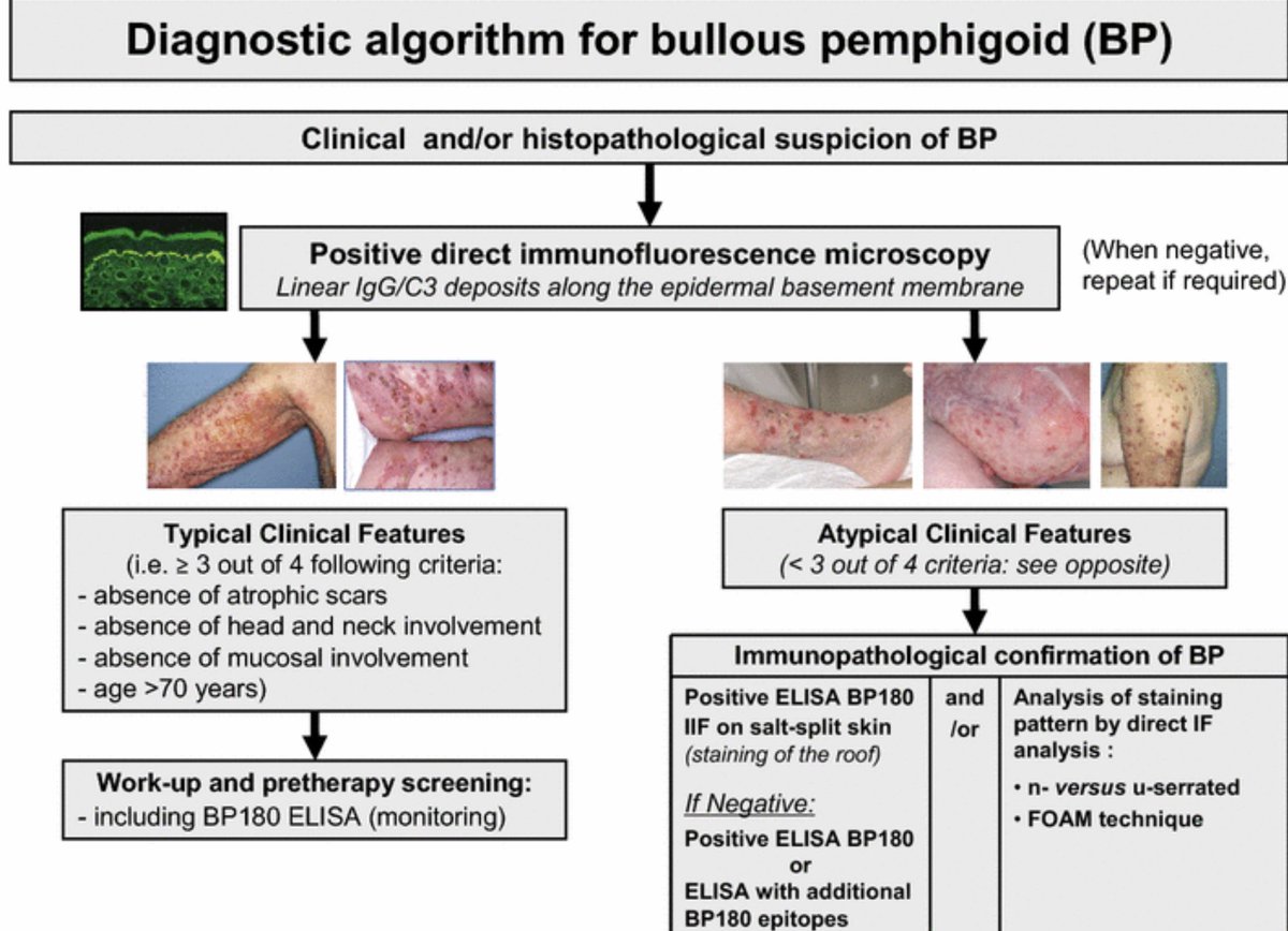 StudyXing Medicine tweet media