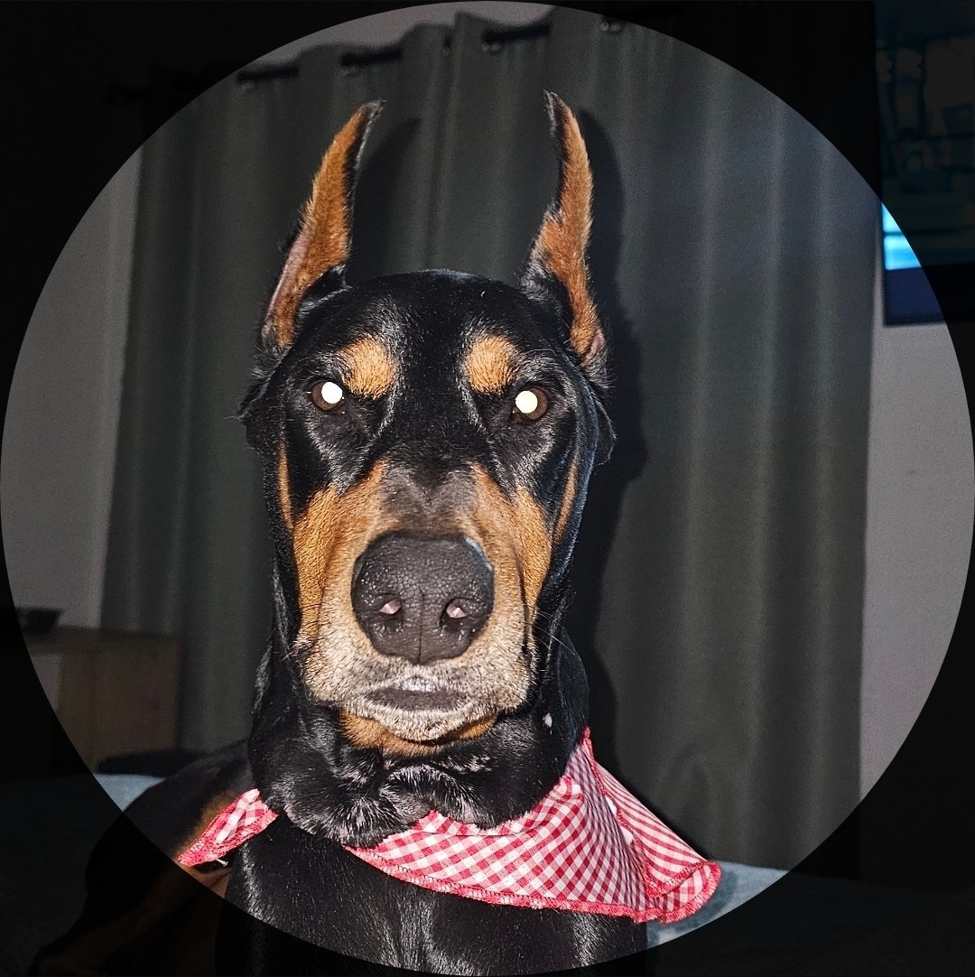 Busco trabajo por si saben de algo, soy bueno para jugar y para comer. Se agradecen los RTs.