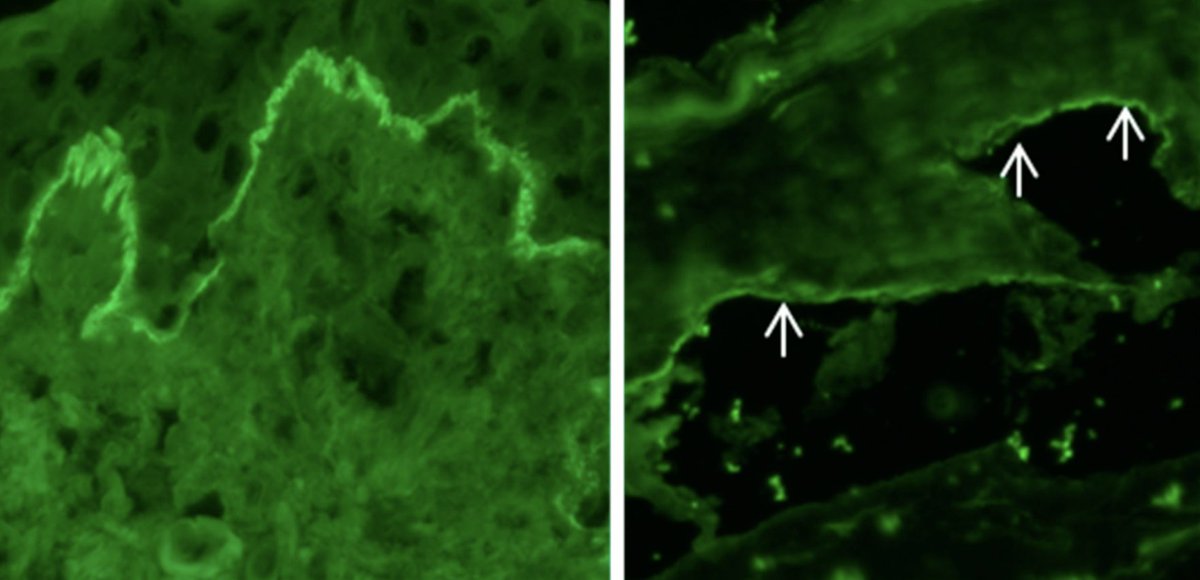 StudyXing Medicine tweet media