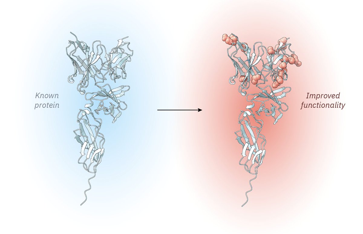 Vince Tran tweet media
