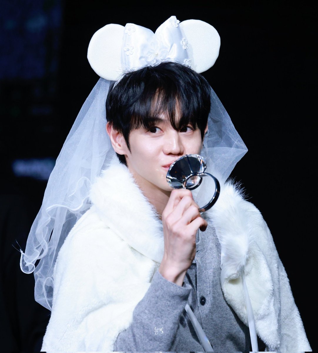 단🪽 tweet media