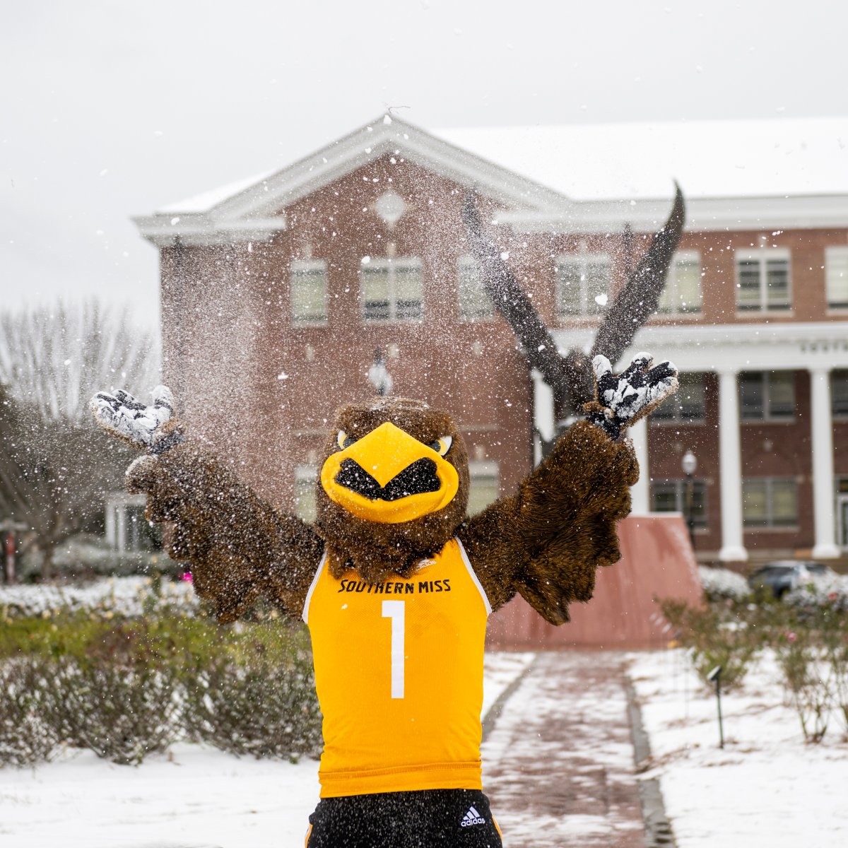 Southern Miss tweet media