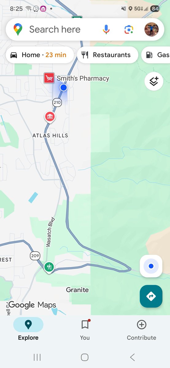 Hockey Herd🦣🏒 tweet media