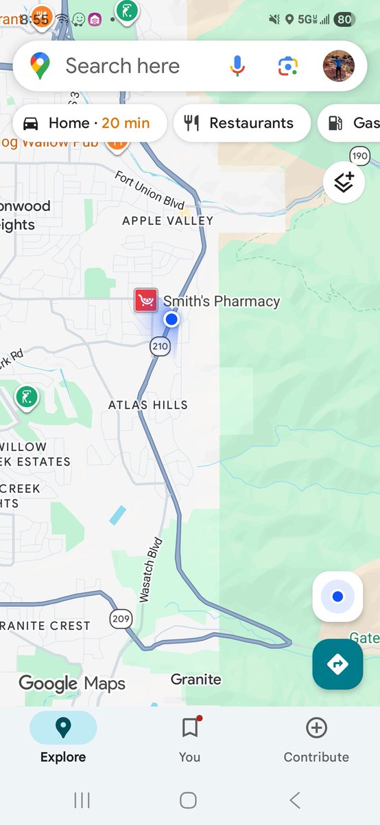 Hockey Herd🦣🏒 tweet media