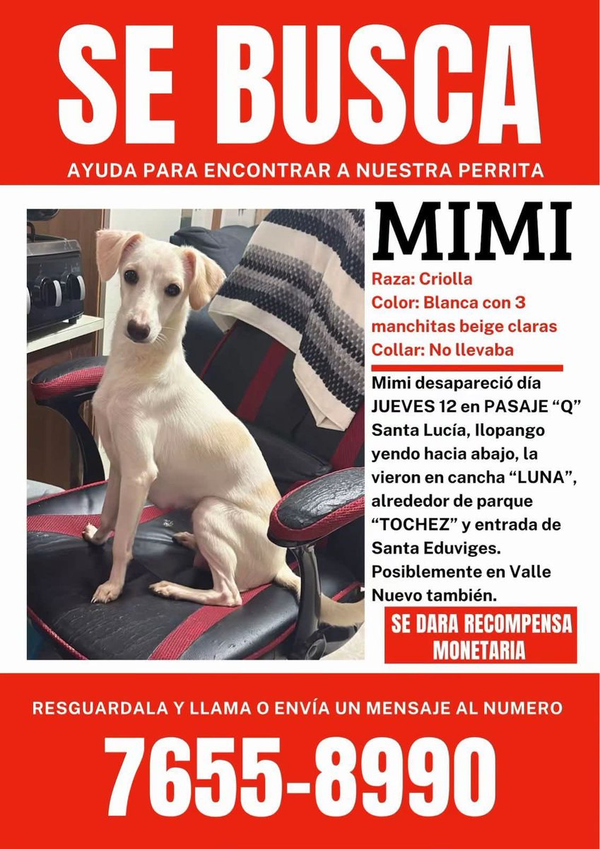lamanadadepick's tweet photo. #SERVICIOSOCIAL https://t.co/xEjTDW11VA