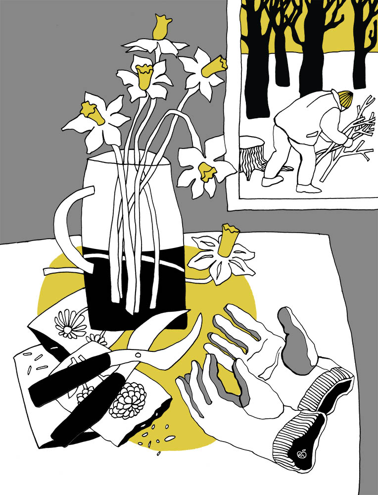 wingedlionarts's tweet photo. Early daffodils
#illustration #drawing #fabruary #daffodils https://t.co/qi6MUGds3U