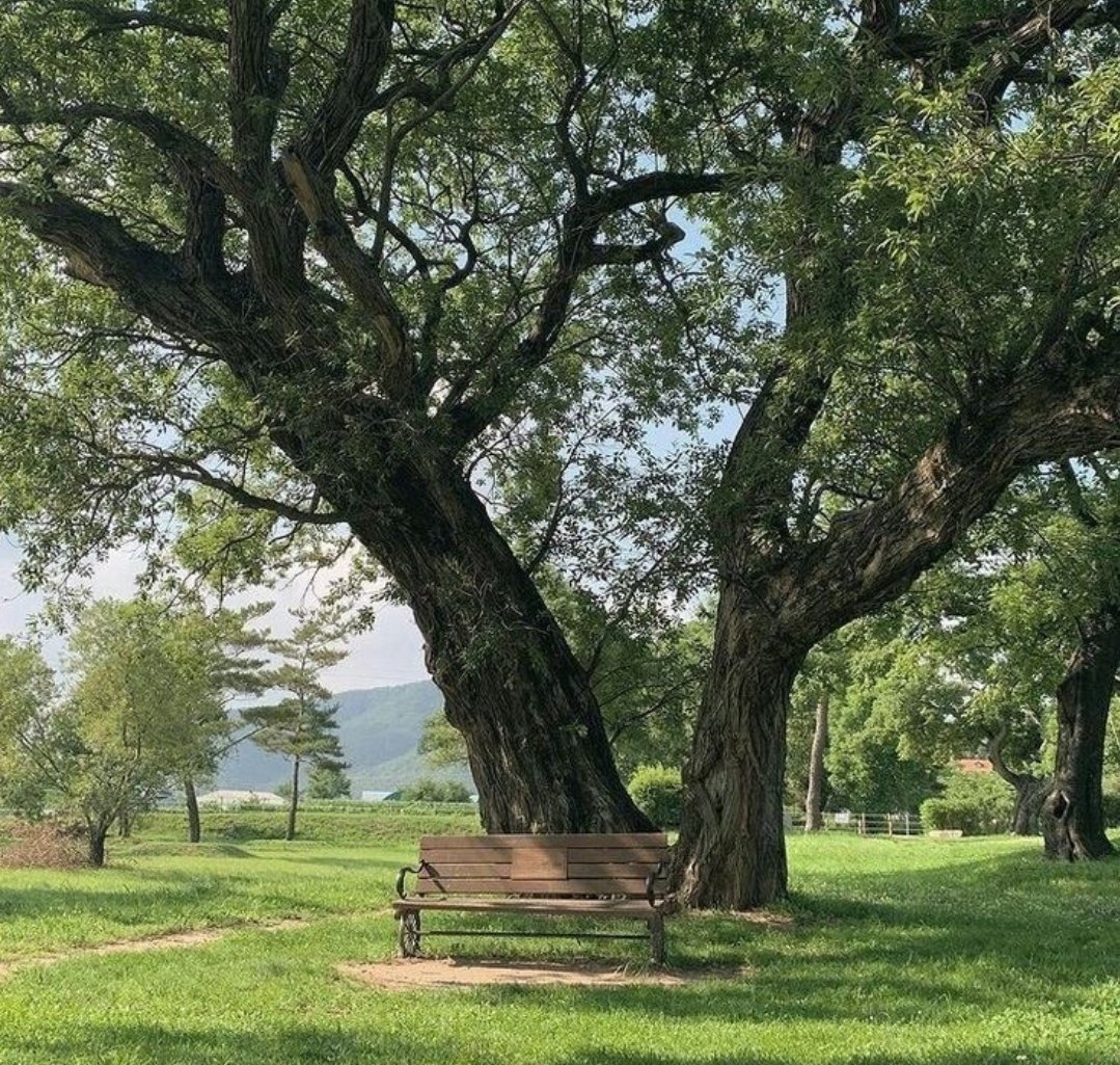 Bethelight99585's tweet image. RT @artindetails: sit in silence.