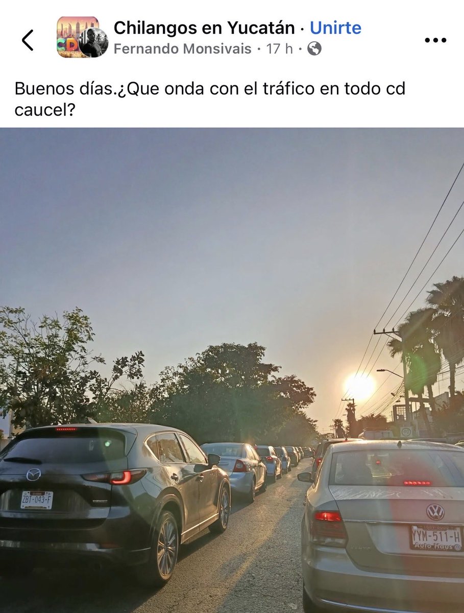 Un Pelaná cualquiera tweet media