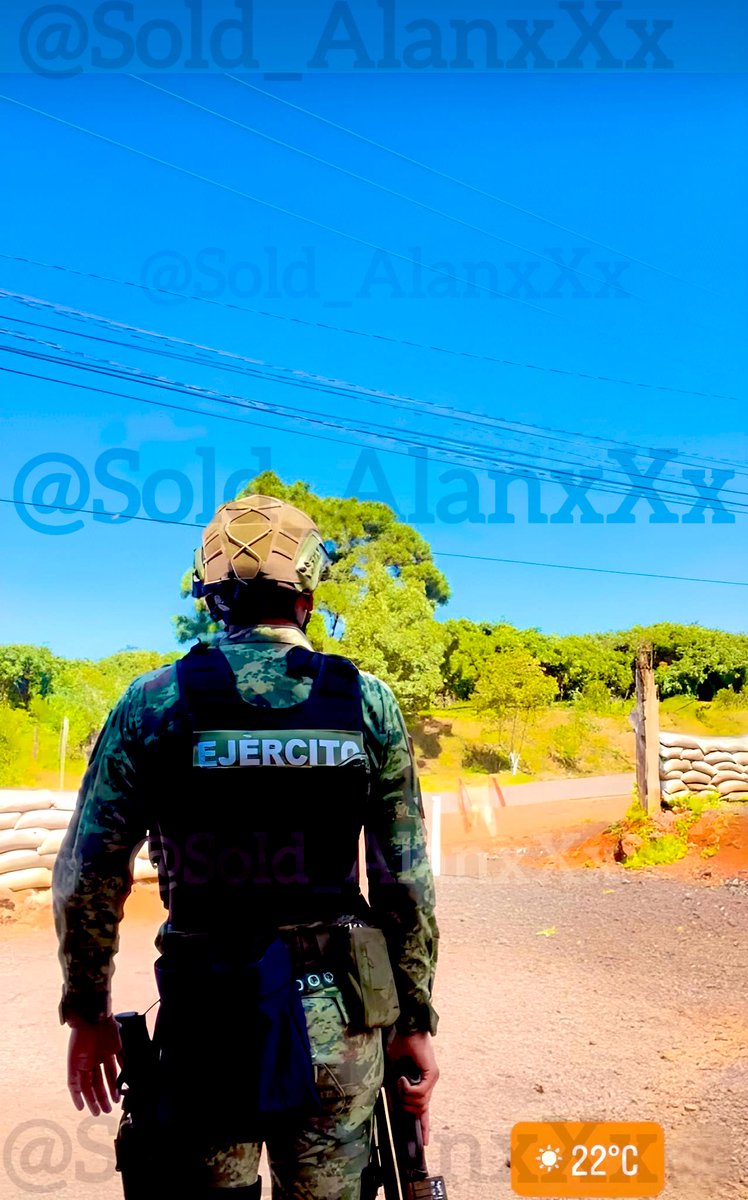 Sold Mex 🇲🇽 tweet media