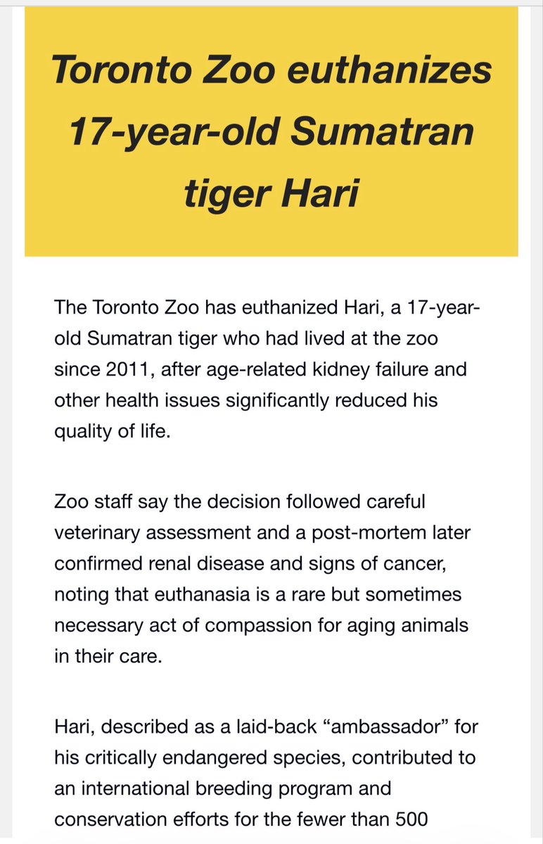 Shillin's tweet image. The Zoo can do it but @tigerkinglegend can’t?