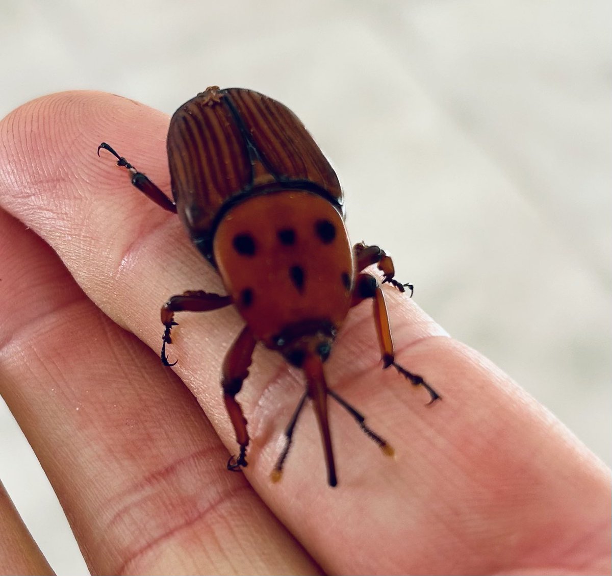 Mal Green tweet media