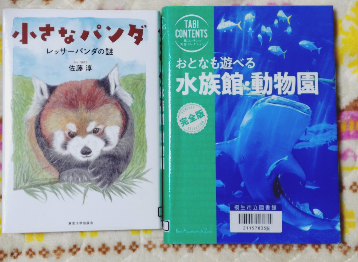 zizichin@黒猫大好き (@zizichin1) / Posts / X