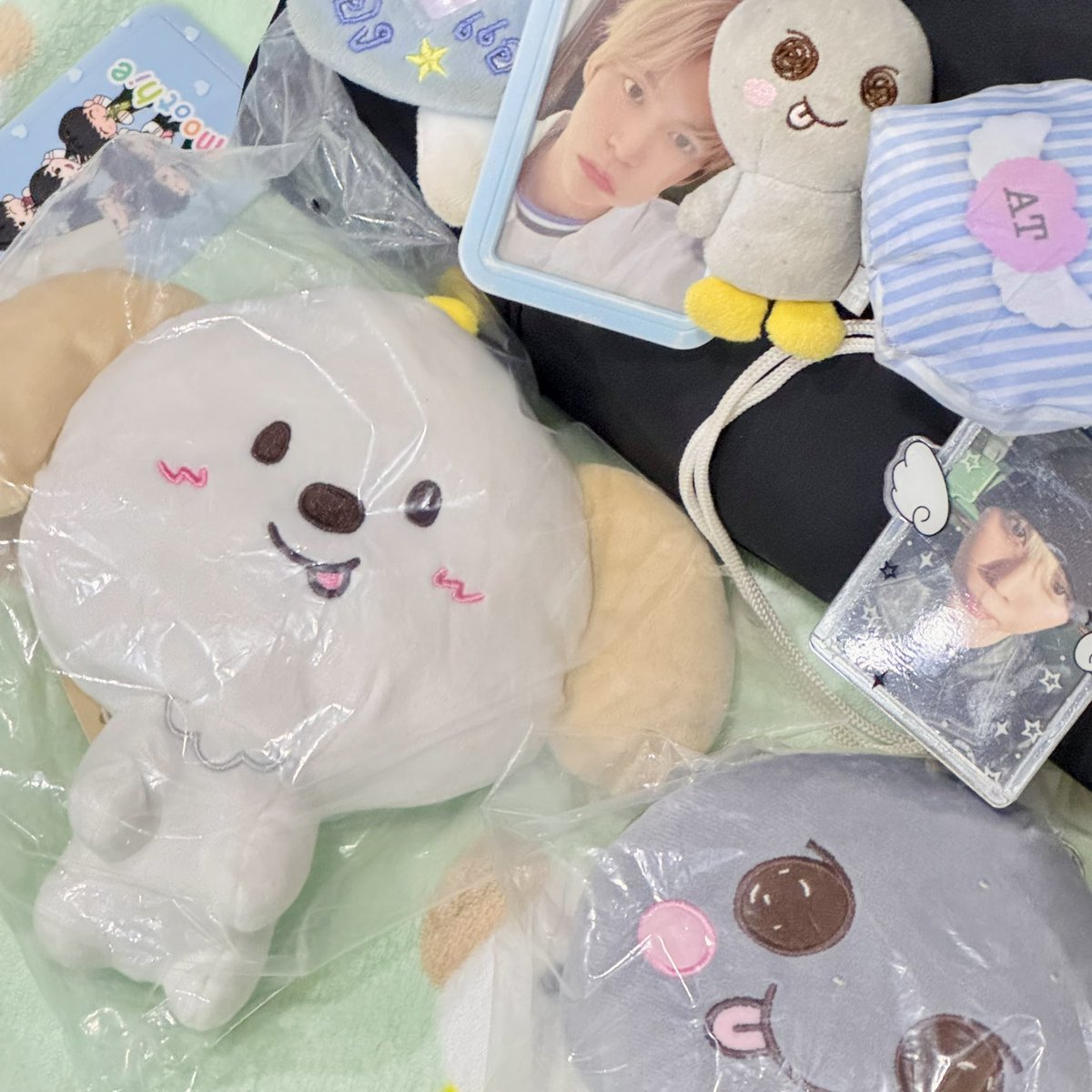 น้องม่องอ้วมมาถึงแล้วนะคะ บรรจุความน่ารักมาเต็มกล่องเลย🥺🤲🏻💖 ส่งเร็วมากๆเลยค่ะ ขอบคุณนะคะ #reviewgilee