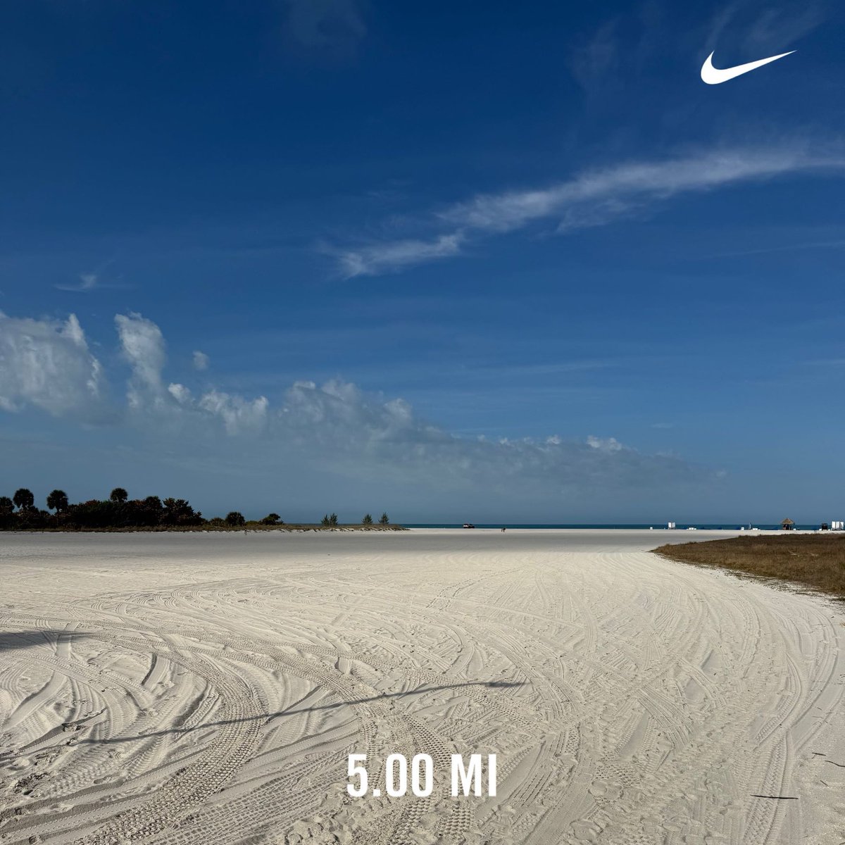 JaneHanlin's tweet photo. Good Morning, Sand Key ☀️ https://t.co/5kD6WvoGqQ