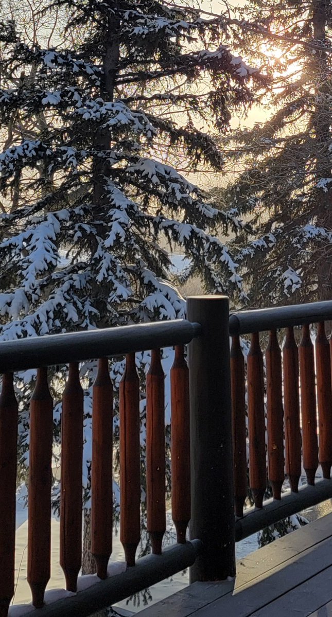 Happy Winter
🥶 🥶 🥶 😁