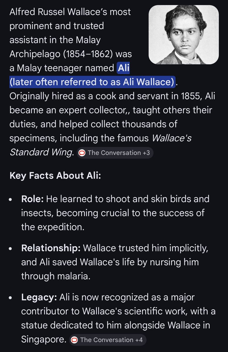 SoulSilverArt tweet media