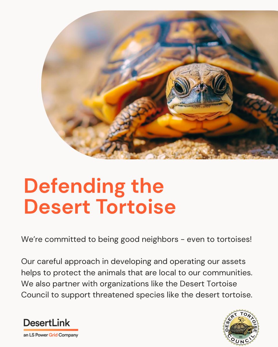 @LSPowerGrid tweet media