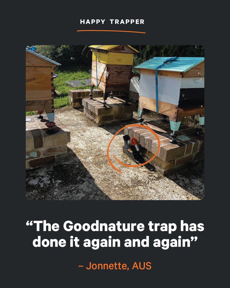 AutomaticTrap.com tweet media