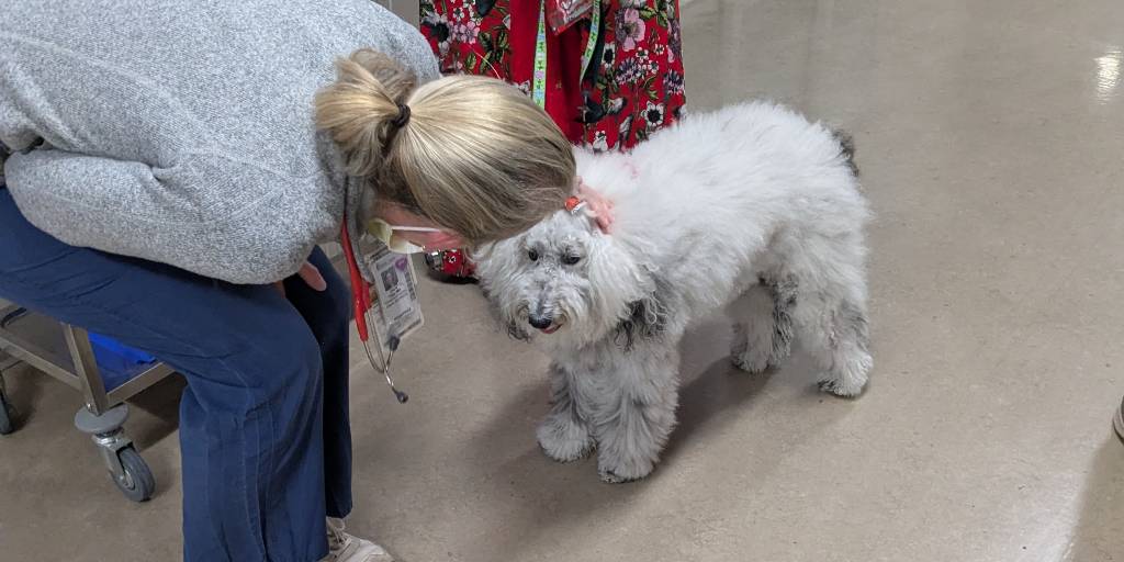 MUSC Health tweet media