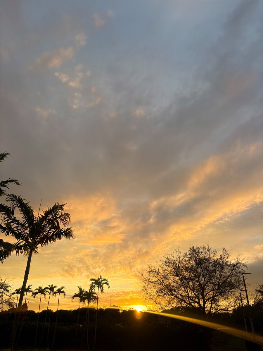 UAPRX's tweet photo. Golden hour at Universal Arts✨🌅 https://t.co/r0eo0hZWzK
