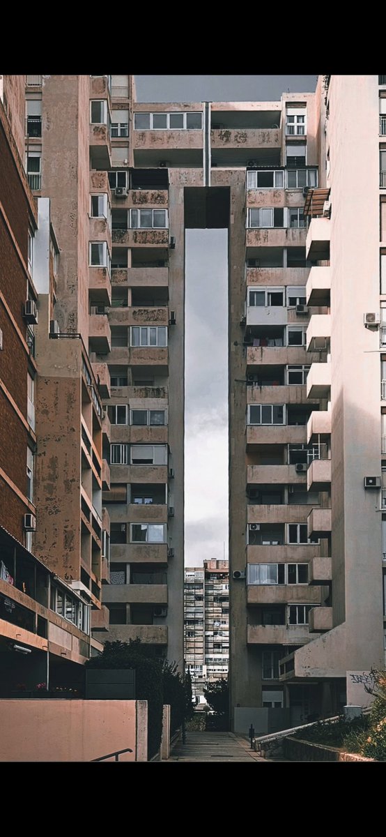 žensky bookowski tweet media