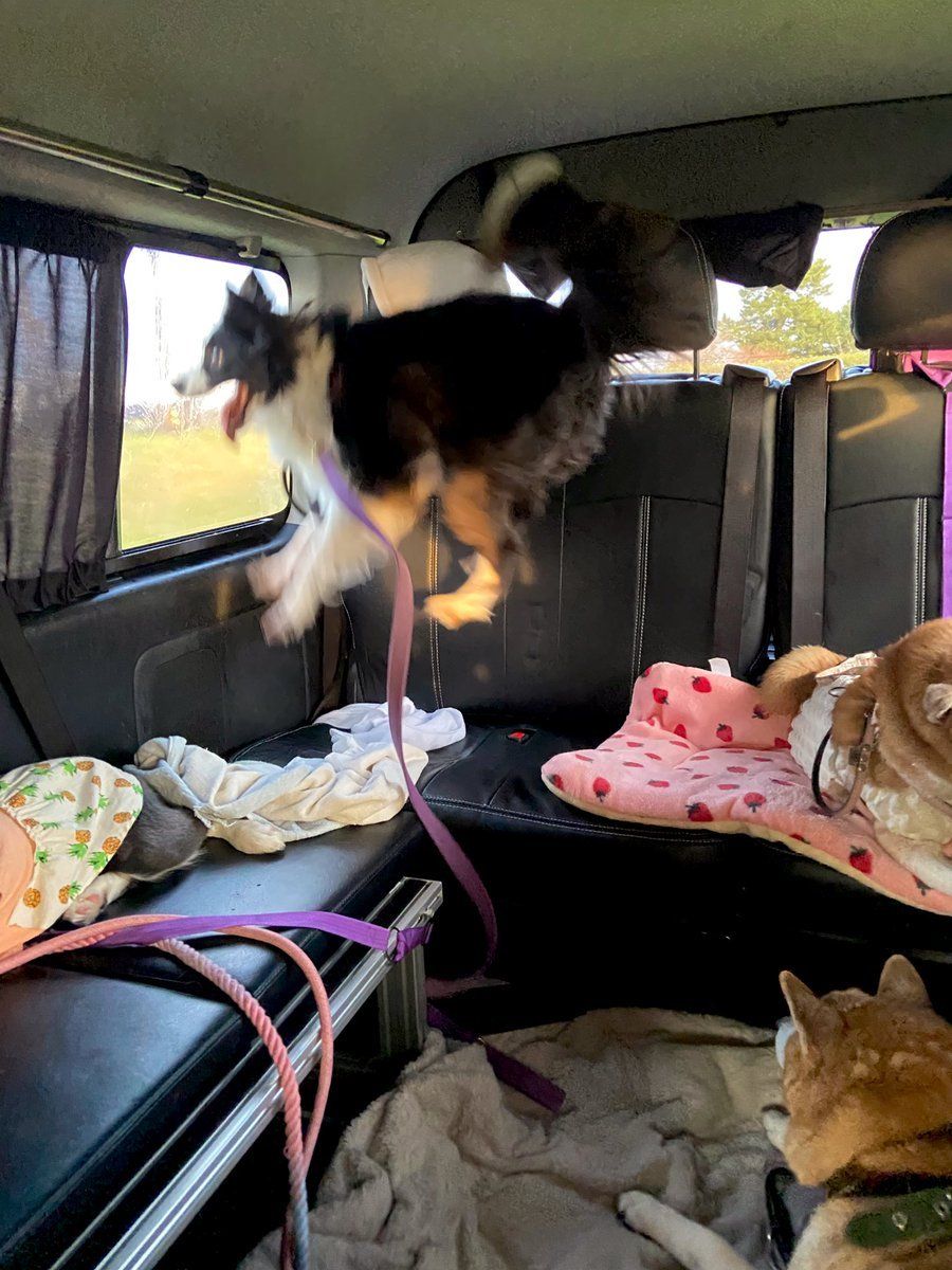 meme.jpg (@meme__jpg) on Twitter photo 