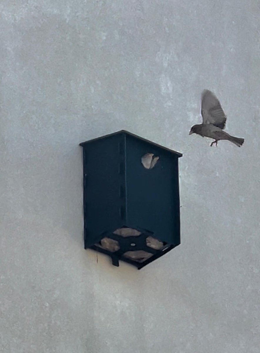 University_Gibraltar tweet media