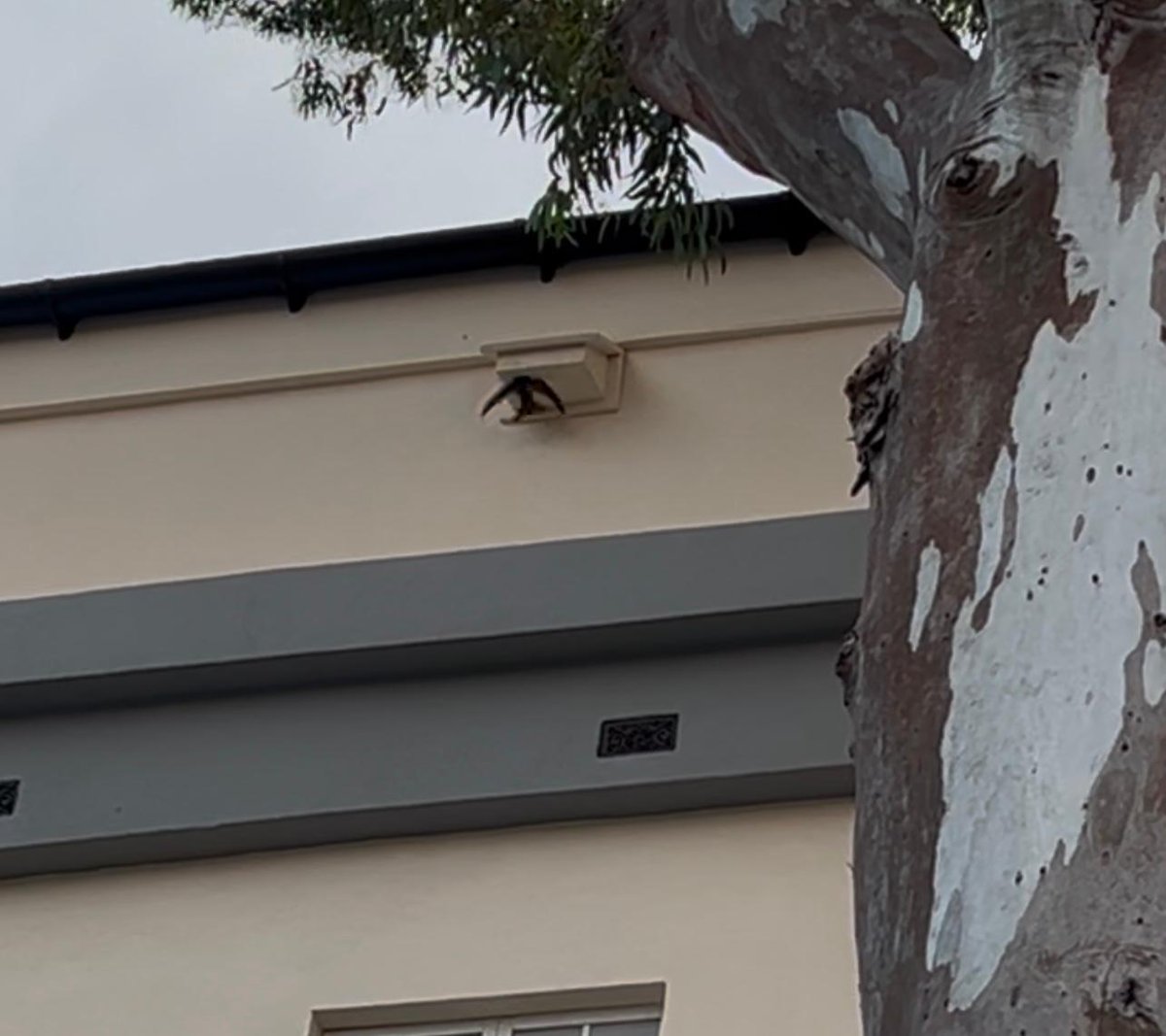 University_Gibraltar tweet media