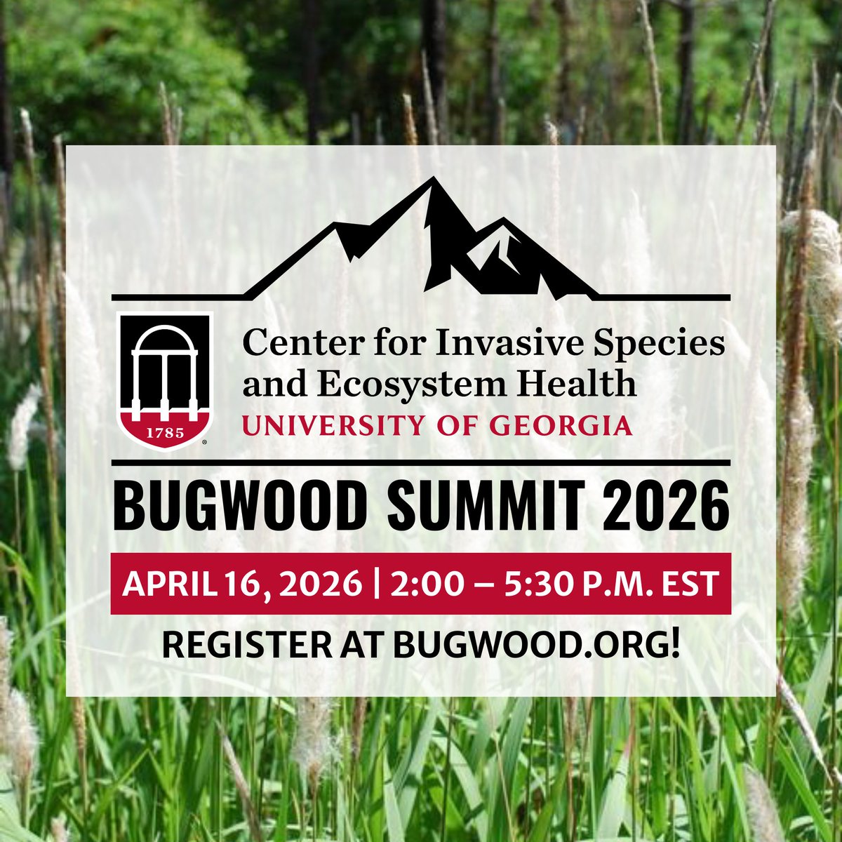 Bugwood's tweet photo. Join us for the Bugwood Summit on April 16, 2026, from 2:00 to 5:30 PM. This session focuses on integrating Bugwood Tools into your program—practical solutions tailored for your real-world tasks.

👉 Don’t forget to register: Visit https://t.co/wilrV2HkTq to secure your spot! https://t.co/d1YIFINiDZ