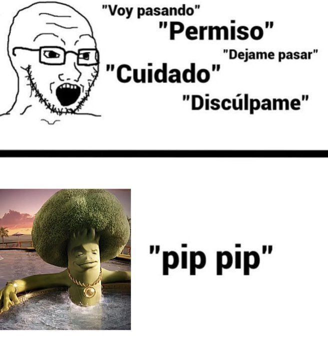 chincheto pirata somali (@wikipistacho) on Twitter photo 