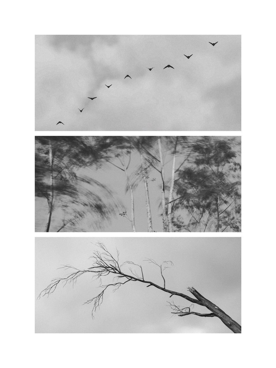 infinite 💙 without fulfillment tweet media