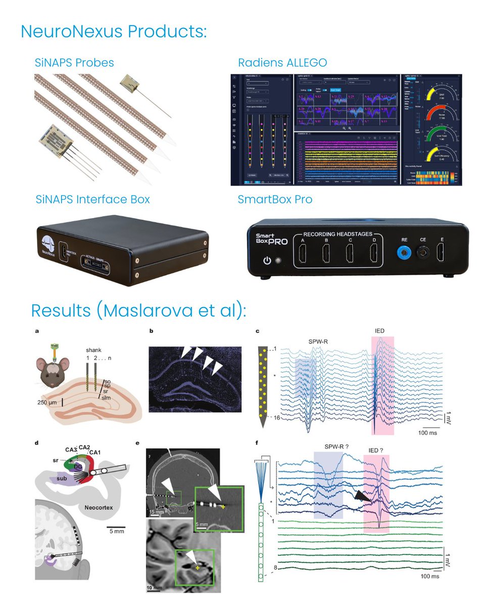 NeuroNexus tweet media