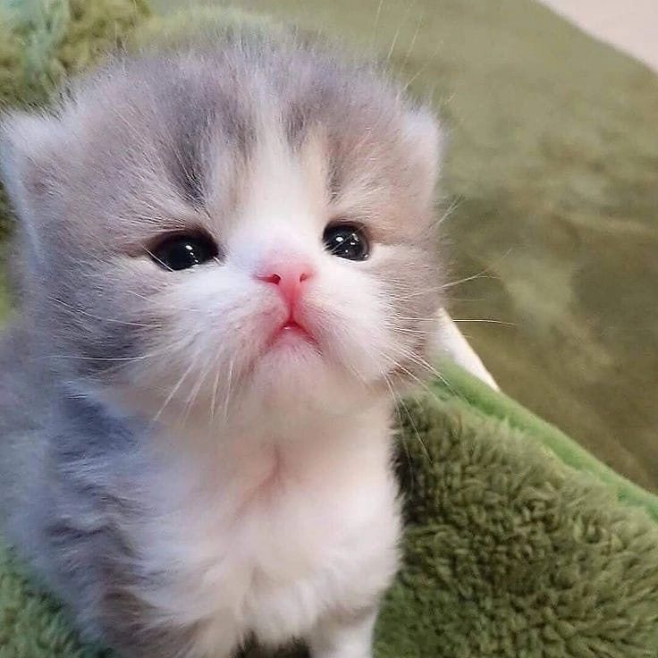 Meet My Galaxy Destroyer AZ-16 😈