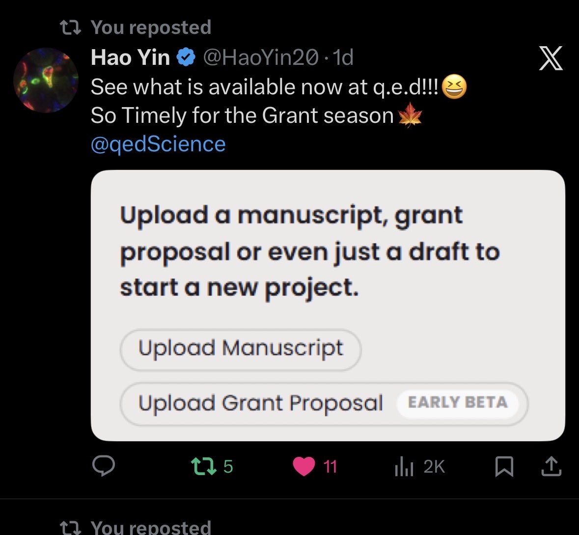 q.e.d Science tweet media