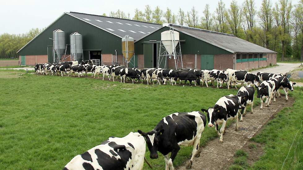 Educatianalist ('René' voor mijn vrienden) tweet media