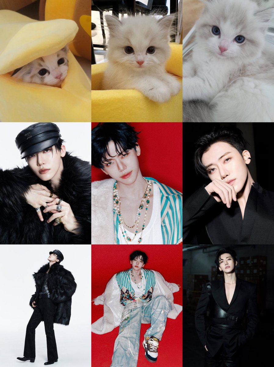 คาแรคเตอร์สามลูเป๊ะมาก 🐈🐈🐈 ♡