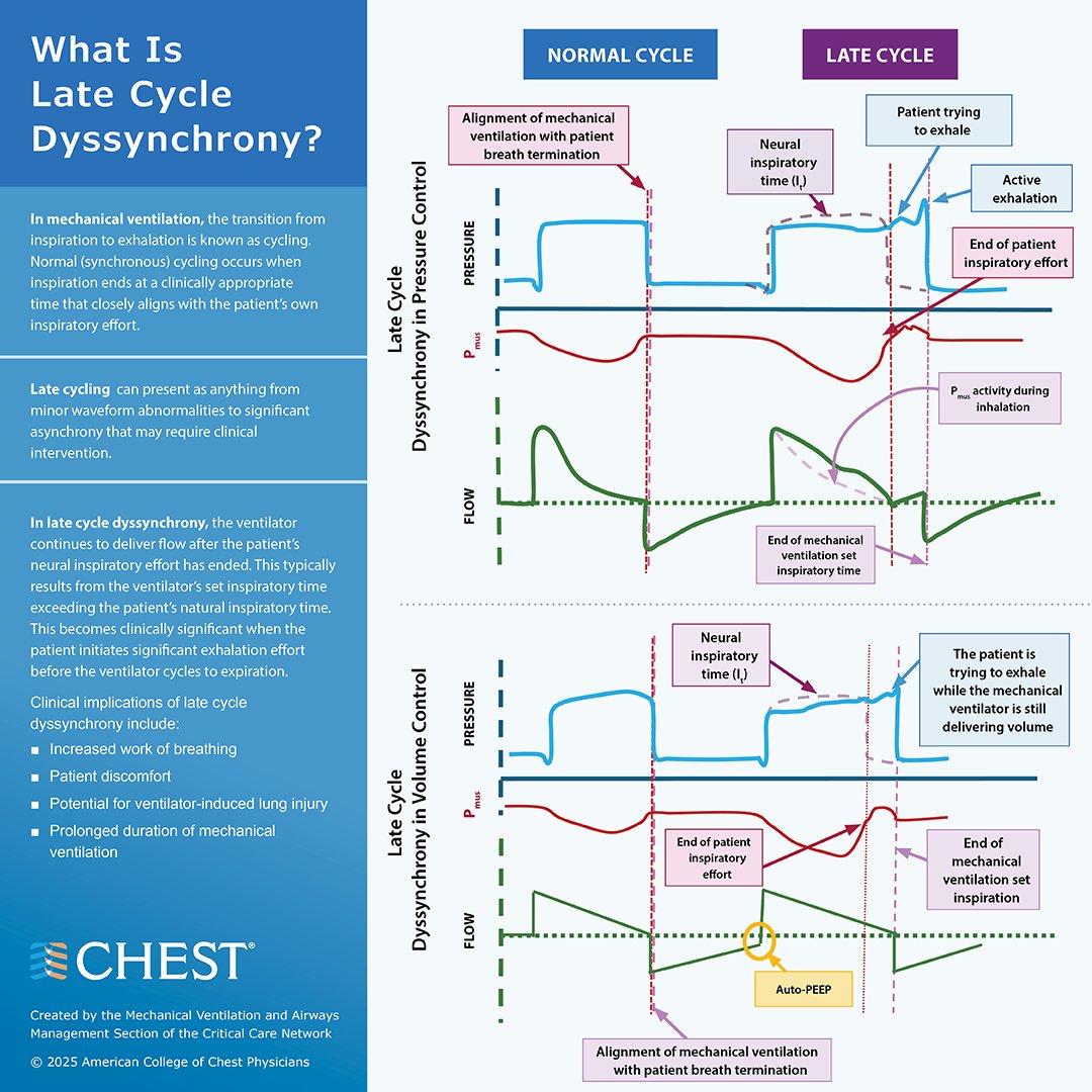A new infographic from the CHEST Critical Care Network describes the clinical implications of late cycle dyssynchrony and how to achieve optimal synchrony by adjusting cycling settings. Learn more: hubs.la/Q043QjqT0
#CHESTCritCare
