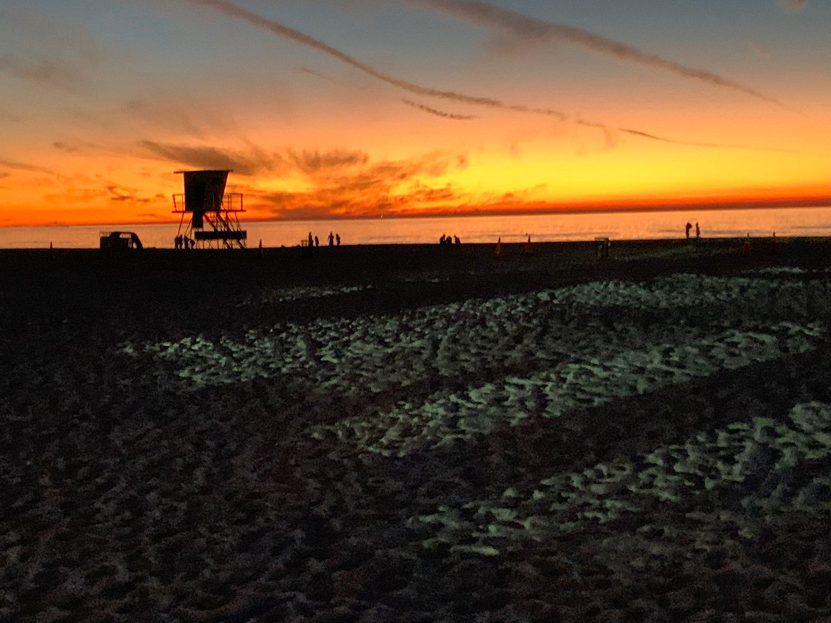 L'Avenue tweet media