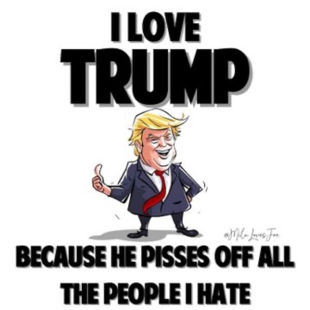 Sarah Sizzle tweet media