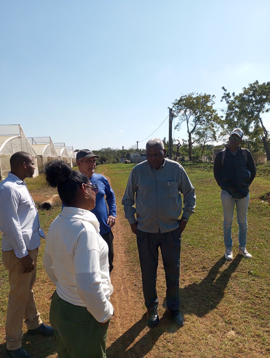Se realiza recorrido del Presidente de La Asamblea Nacional del Poder Popular Esteban Lazo acompañado por autoridades de la capital por áreas productivas de #LaHabanaDeTodos.
#CubaVencerá