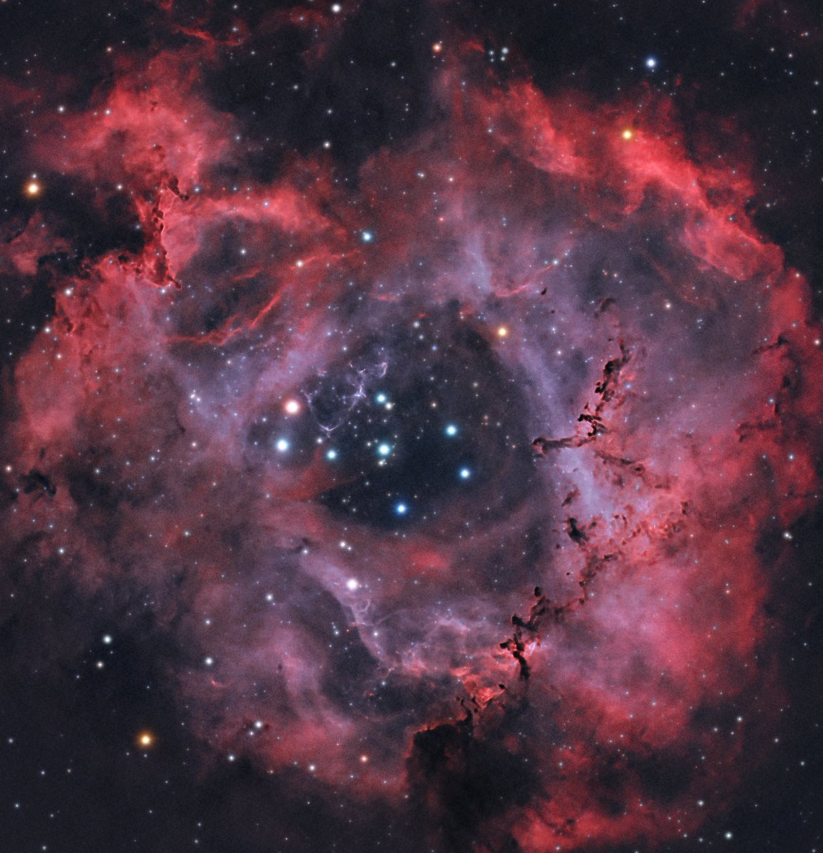 AstroCarone🇨🇦 tweet media