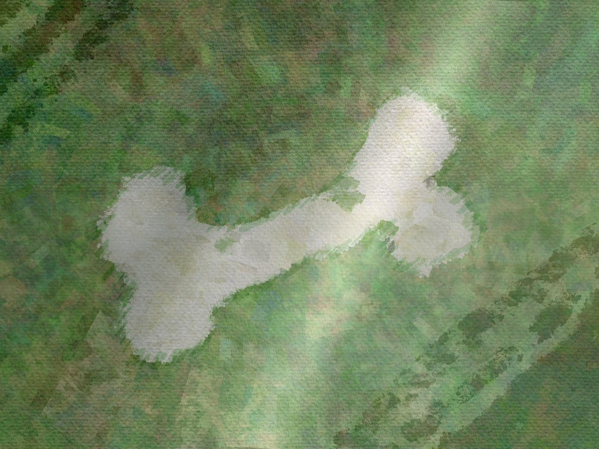 essi (@gastercoded) on Twitter photo 