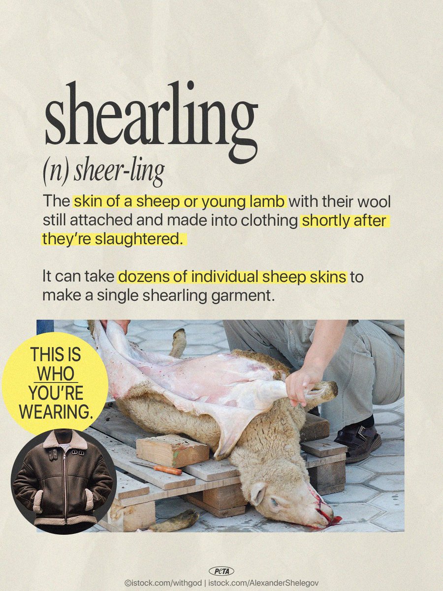 peta tweet picture