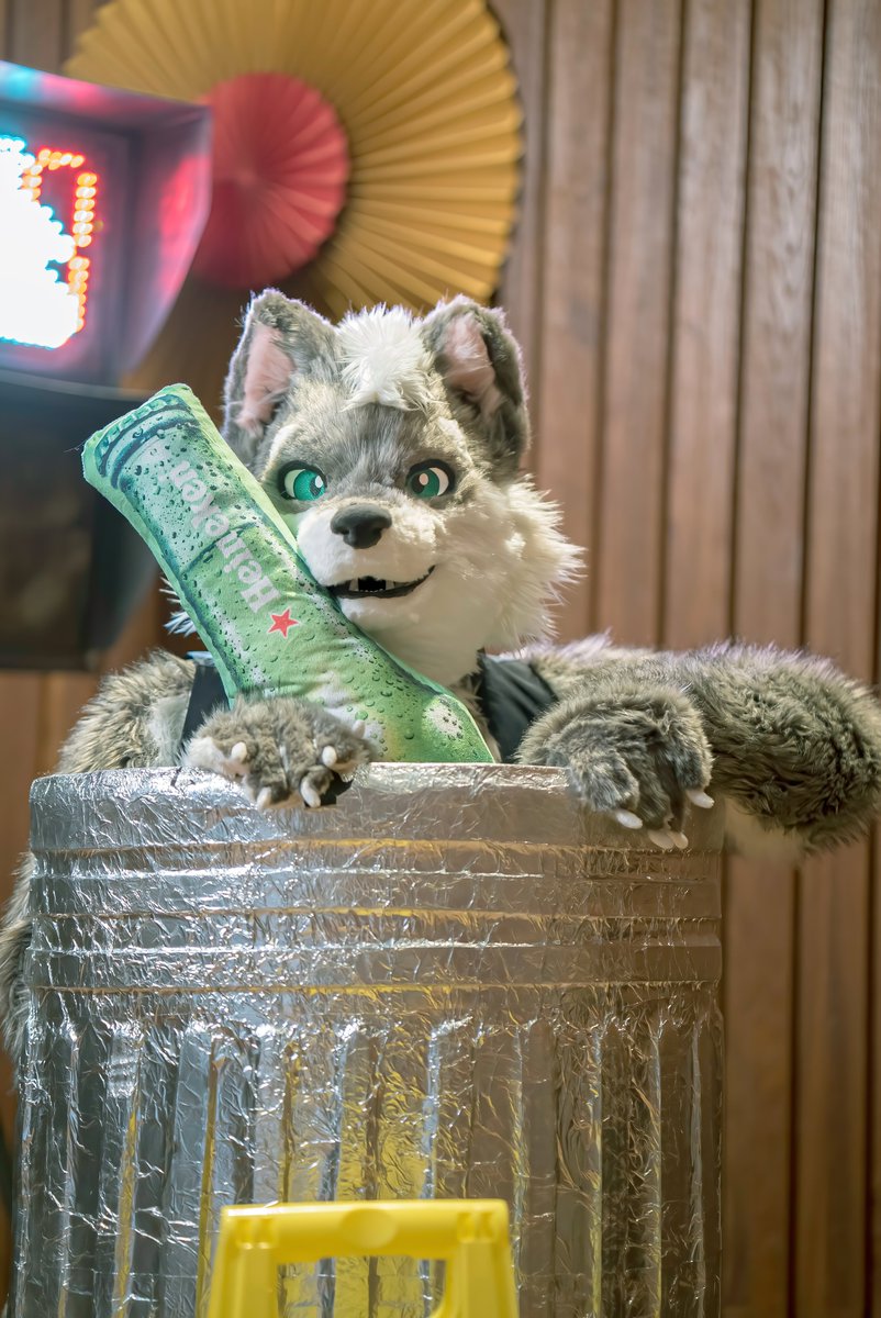 Wolfy (幼狼) tweet media